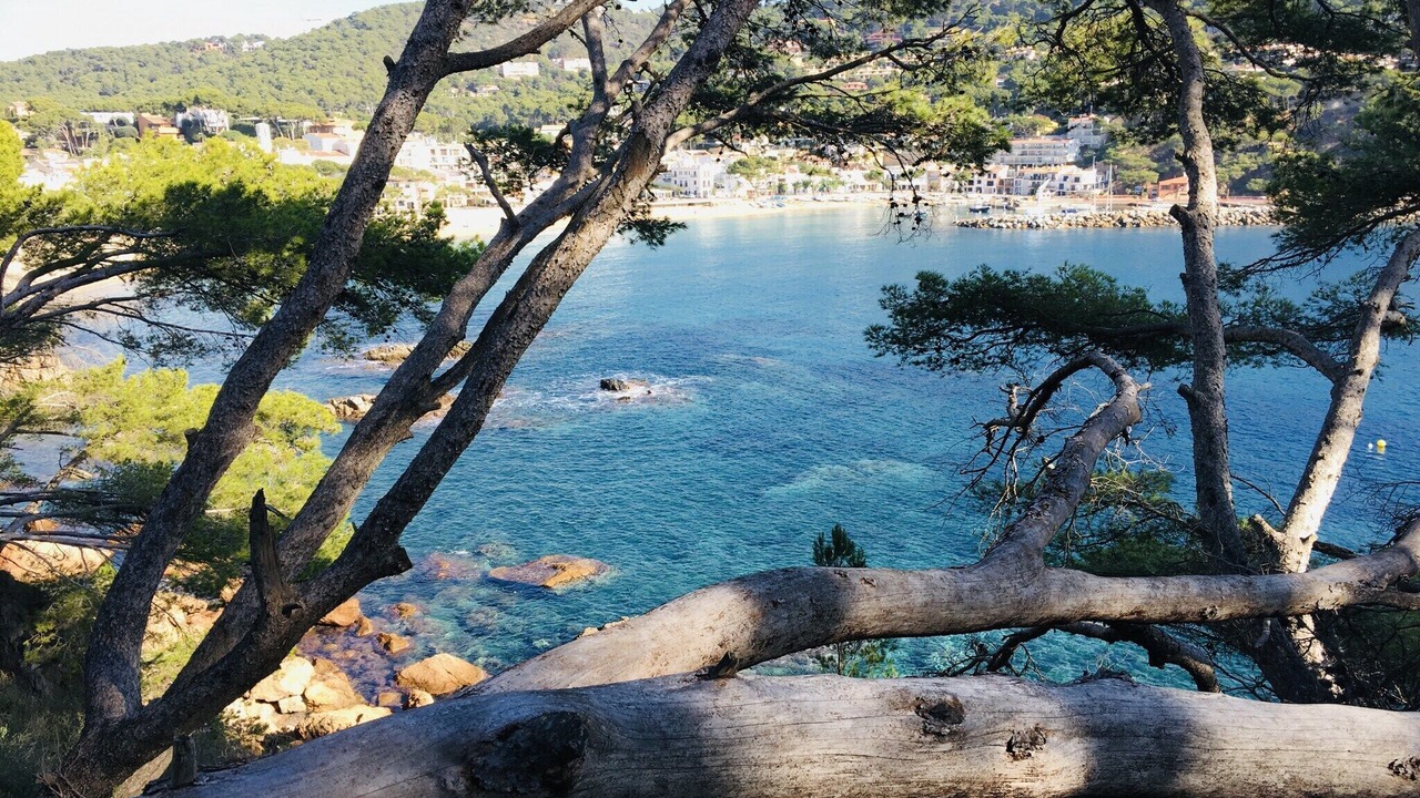 Photo of Others in Palafrugell