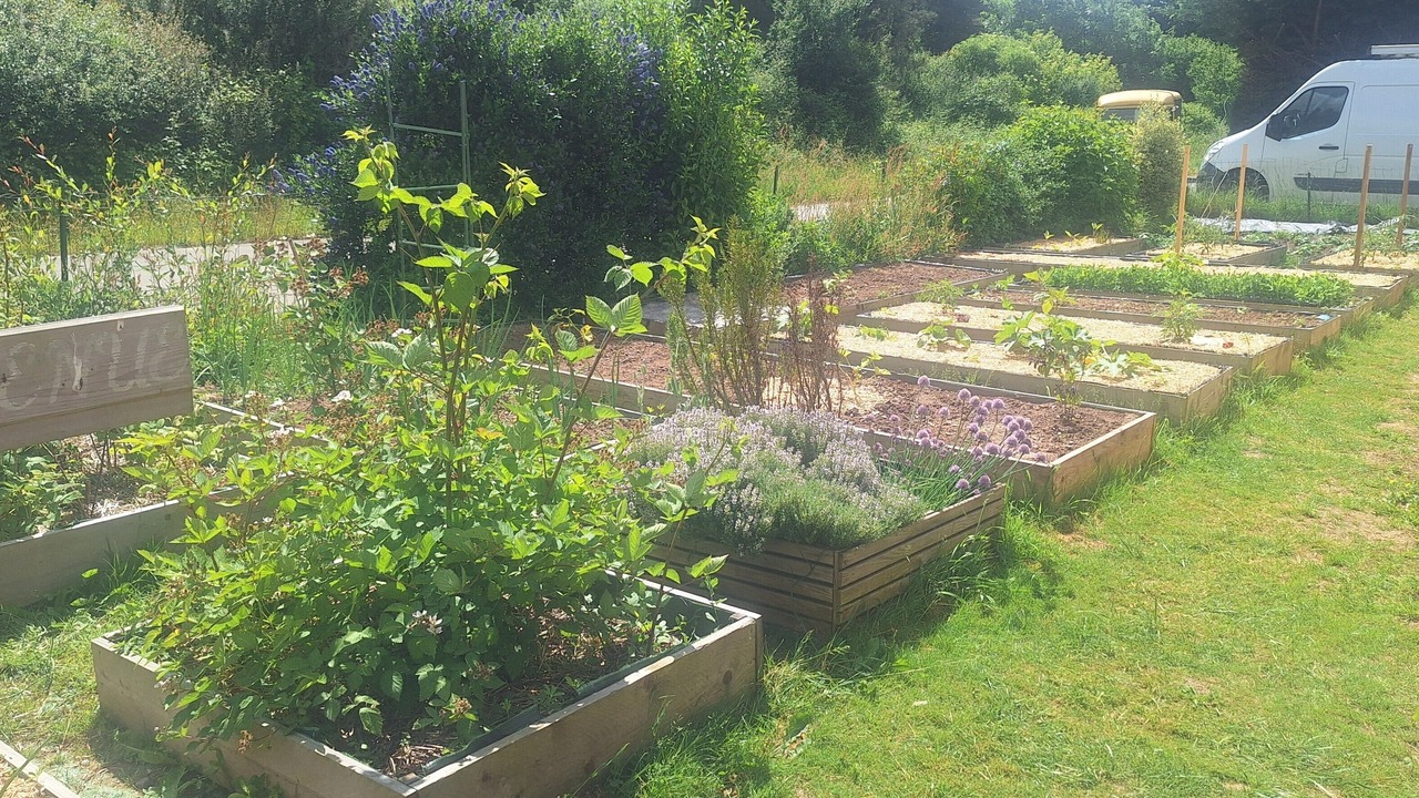 Photo of Outdoor in Laille