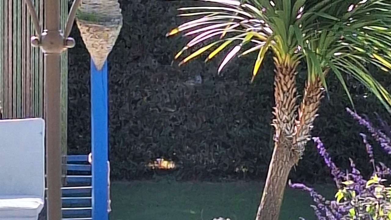 Photo of Outdoor in Laille