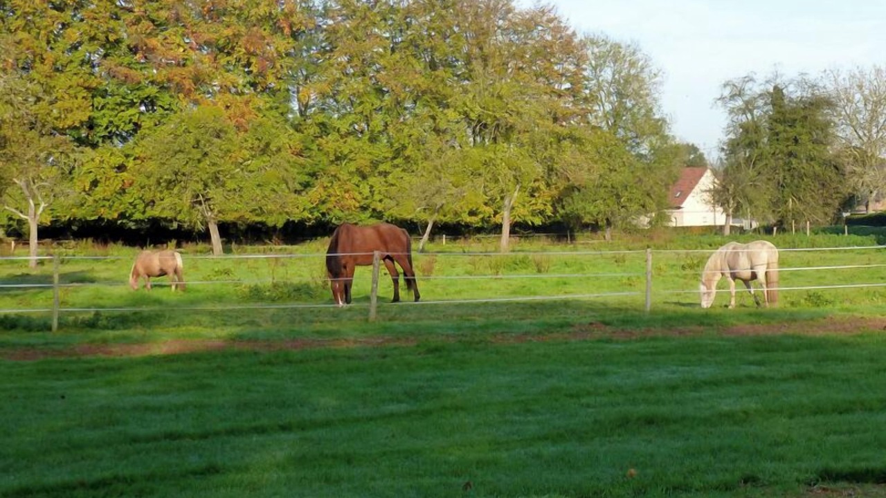 Photo of Others in Mont-Cauvaire