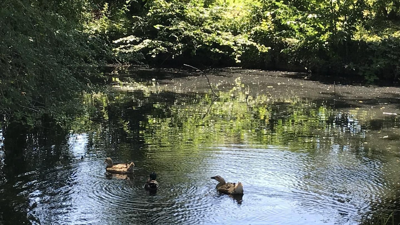 Photo of Others in Mont-Cauvaire