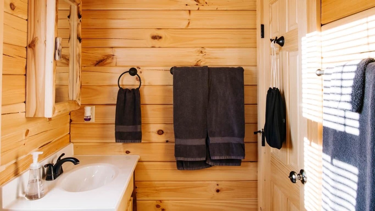 Photo of Bathroom in Hector