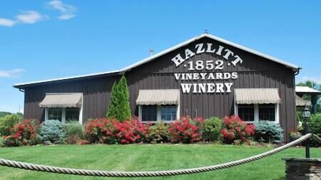 Photo of Others in Hector