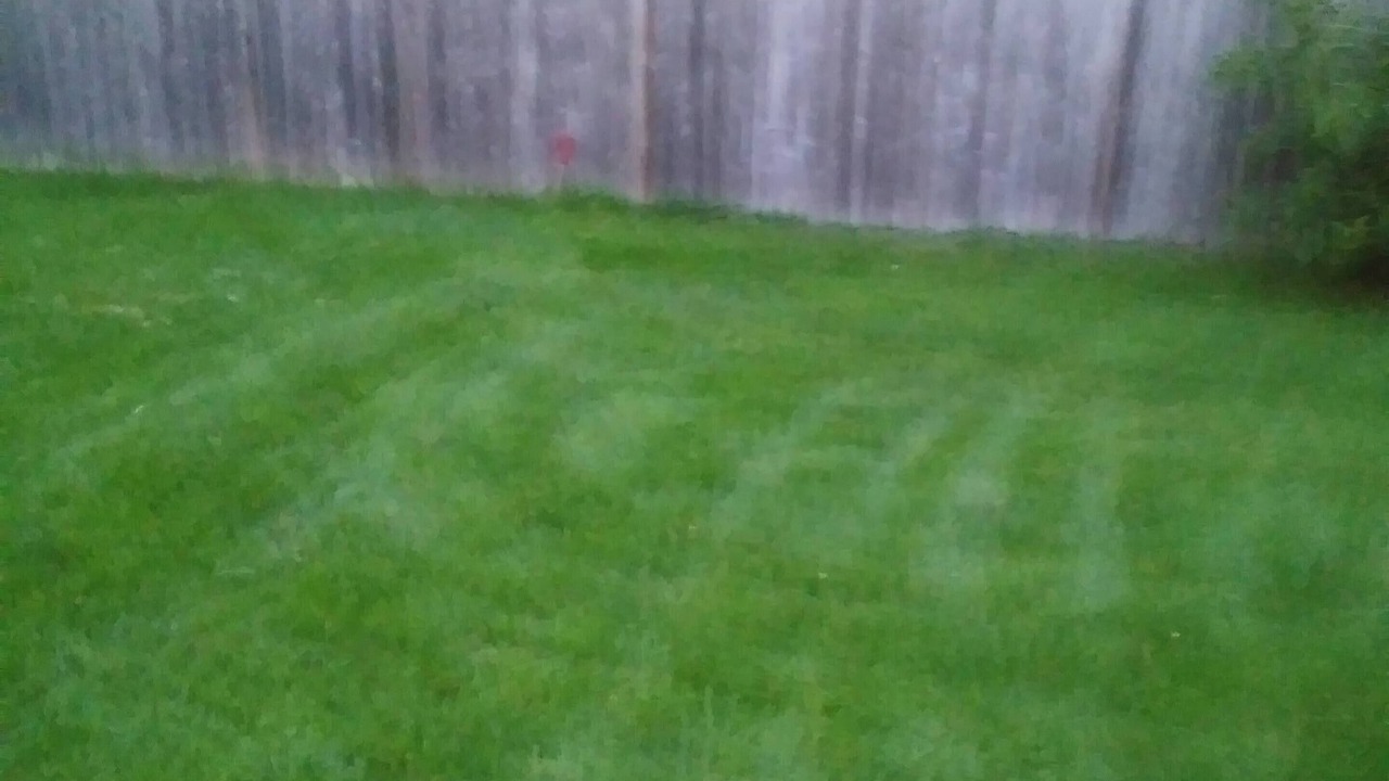 Photo of Outdoor in Strathroy