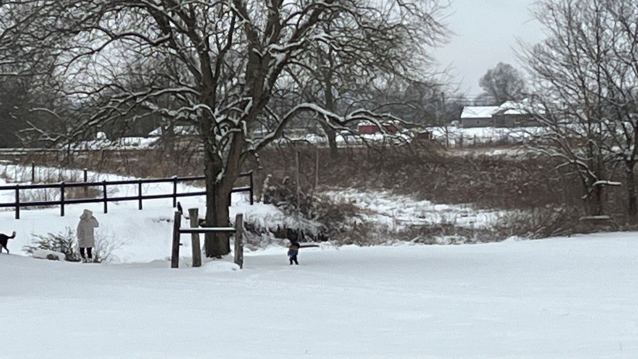Photo of Others in Readyville