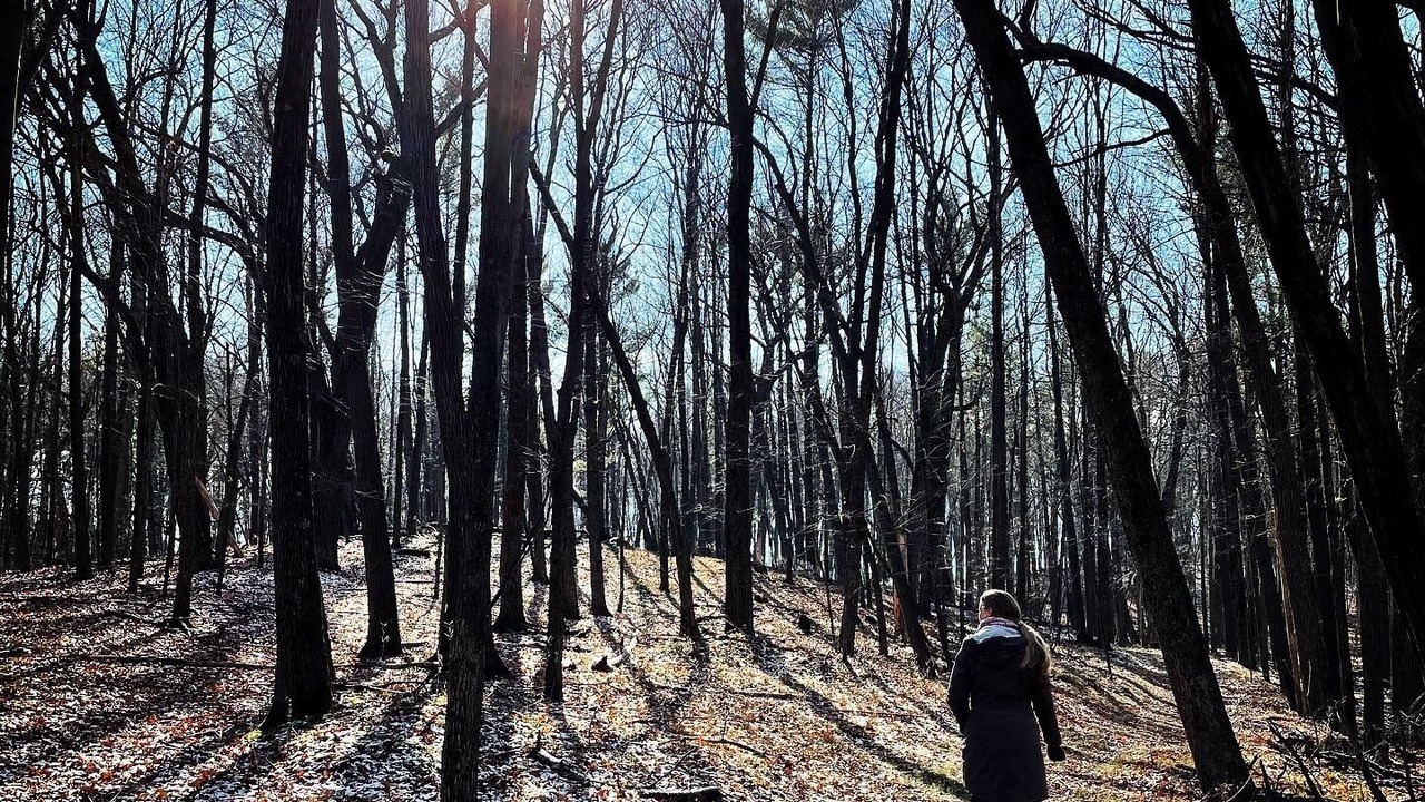 Photo of Others in New London