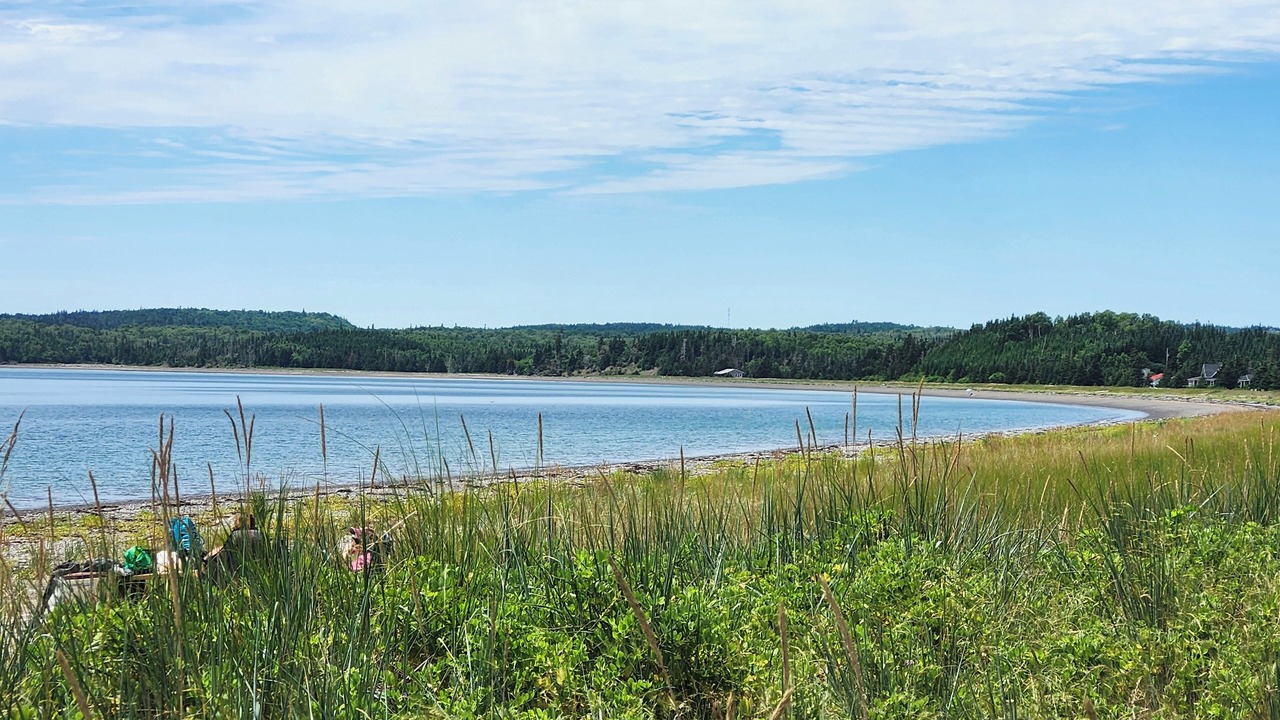 Photo of Others in Sand Point