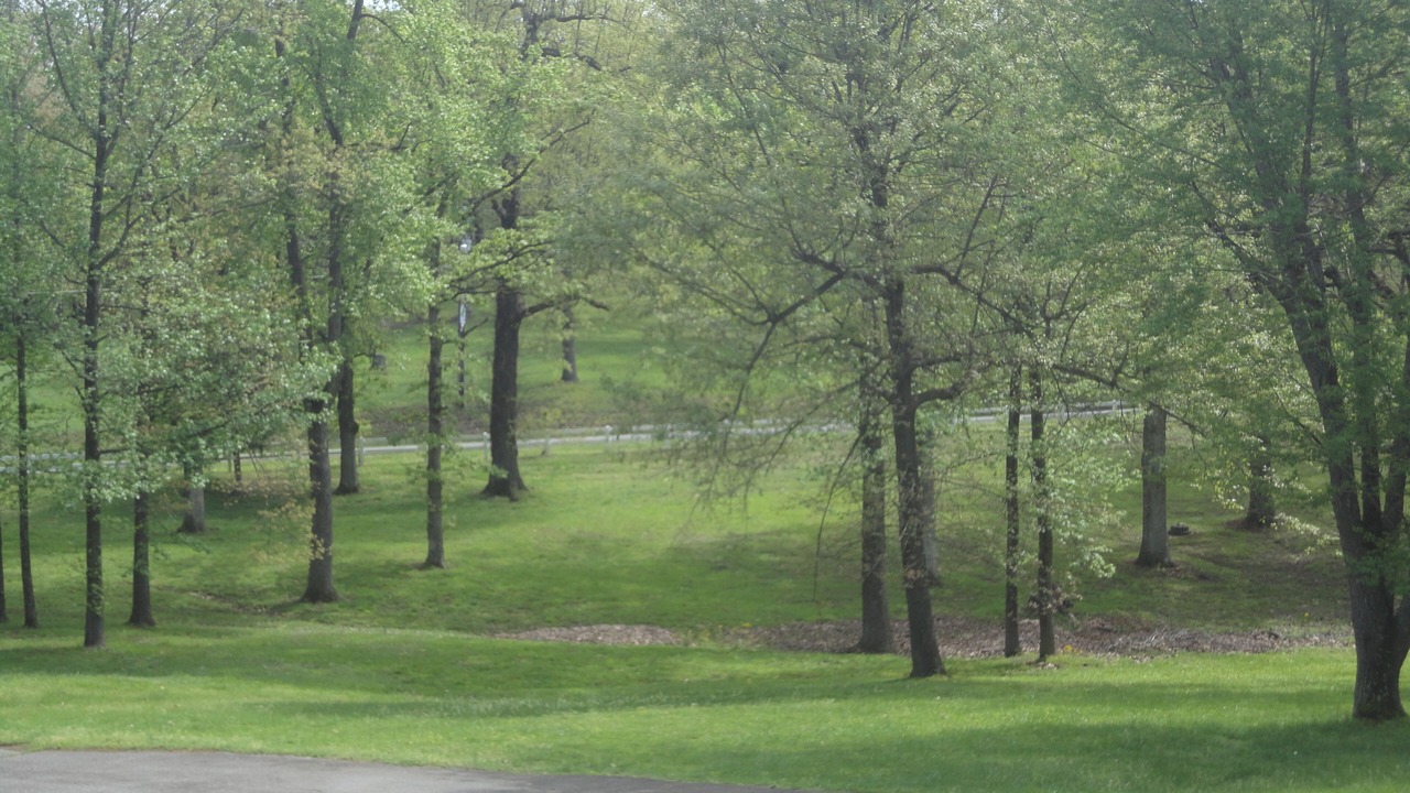 Photo of Others in Grand Rivers