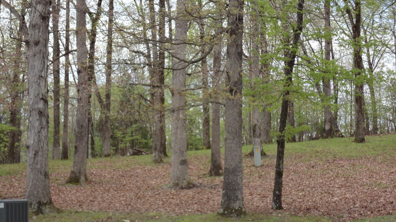 Photo of Others in Grand Rivers