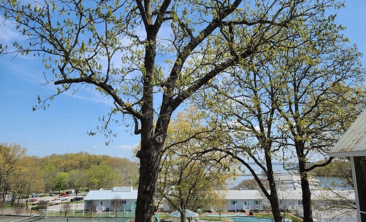Photo of Others in Grand Rivers