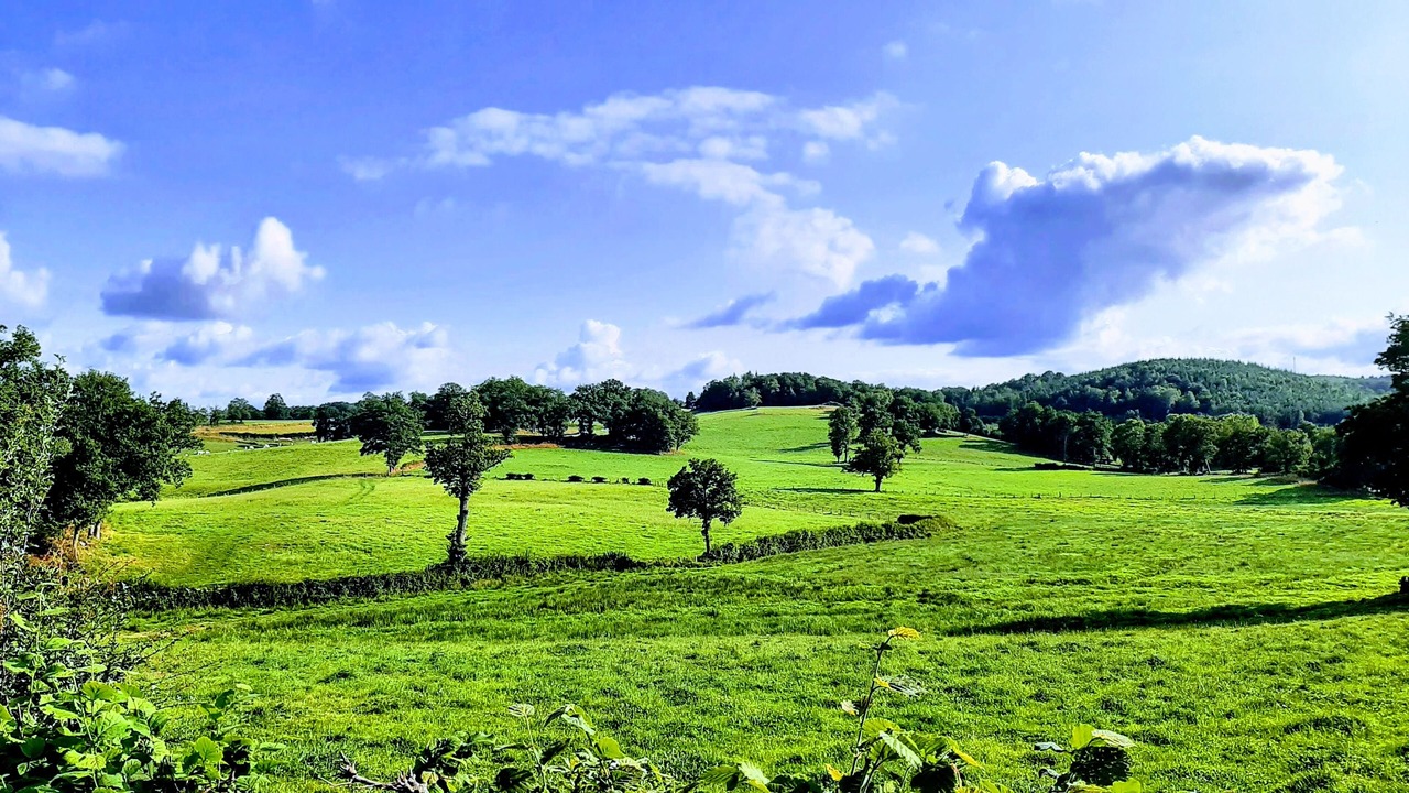 Photo of Others in Saint-Frion