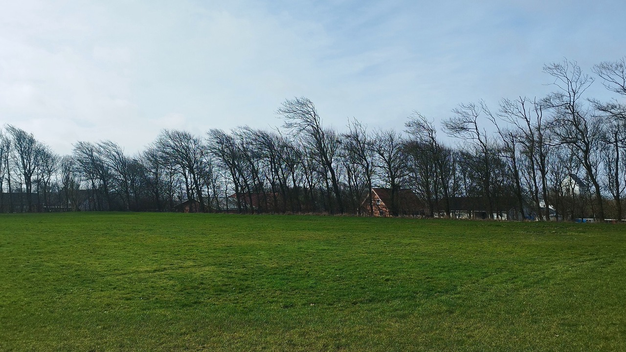Photo of Others in Redsted M