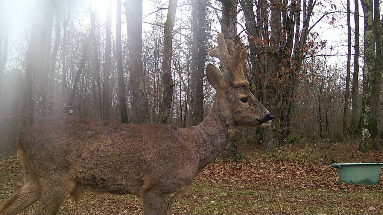 Photo of Others in Gavaudun