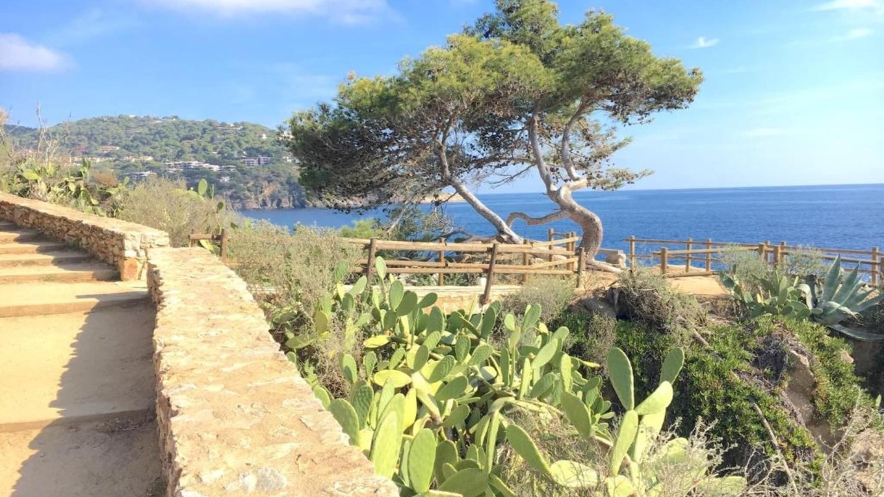 Photo of Others in Palafrugell