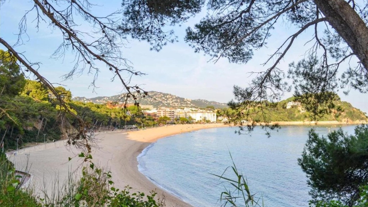 Photo of Others in Lloret de Mar