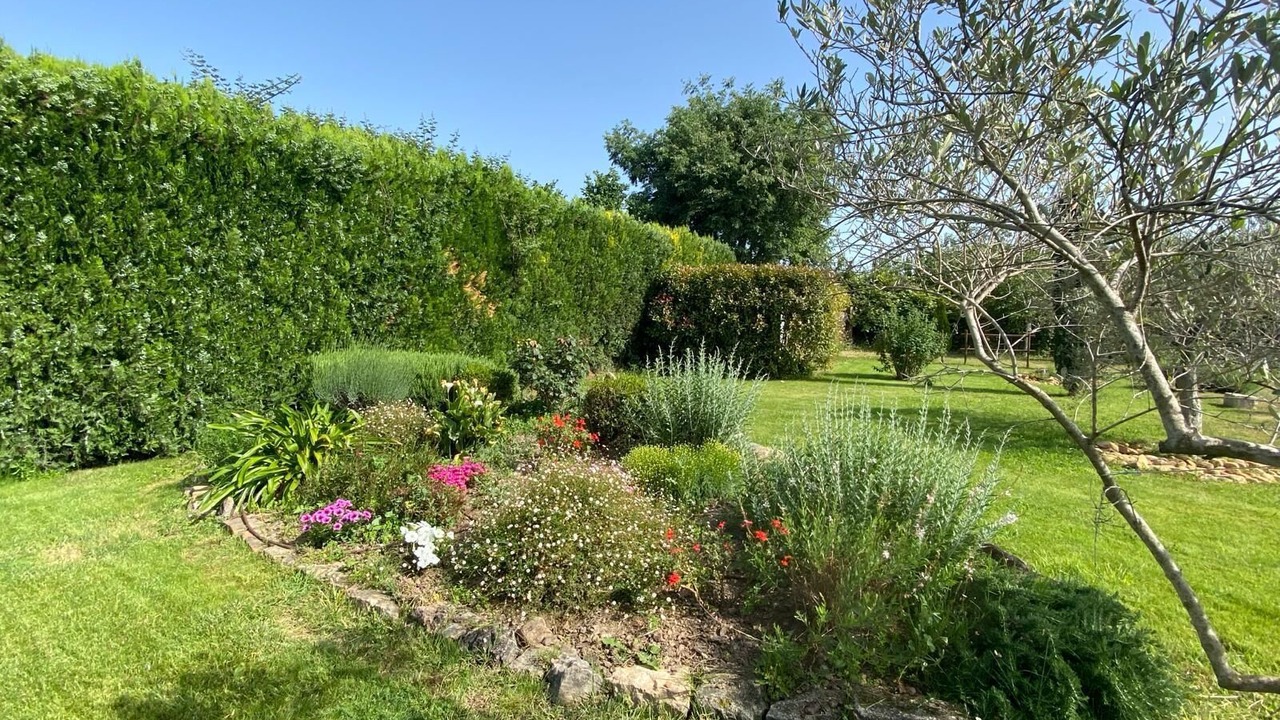 Photo of Outdoor in Arles