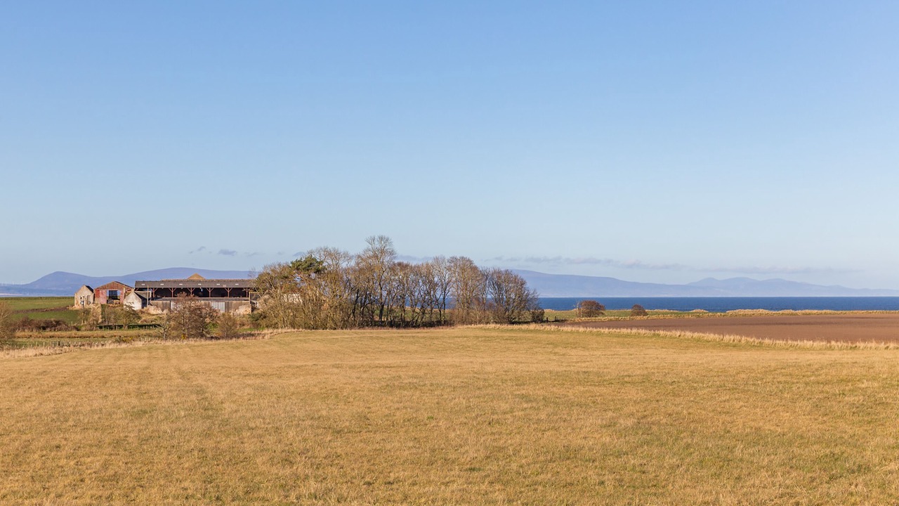 Photo of Others in Tain