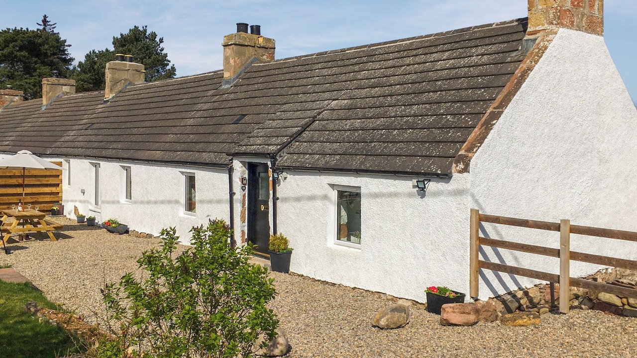 Photo of Others in Tain