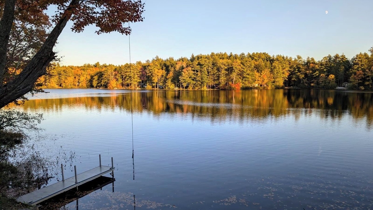 Photo of Others in Northwood