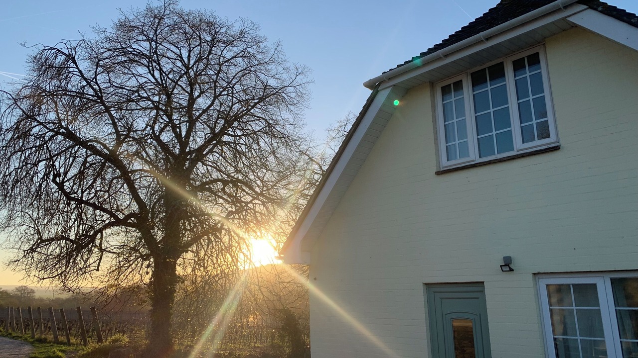 Photo of Others in Hambledon