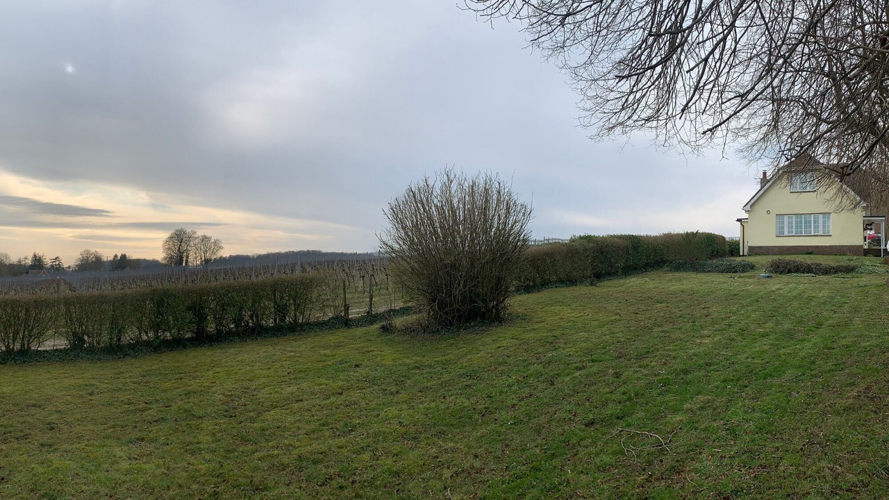 Photo of Others in Hambledon