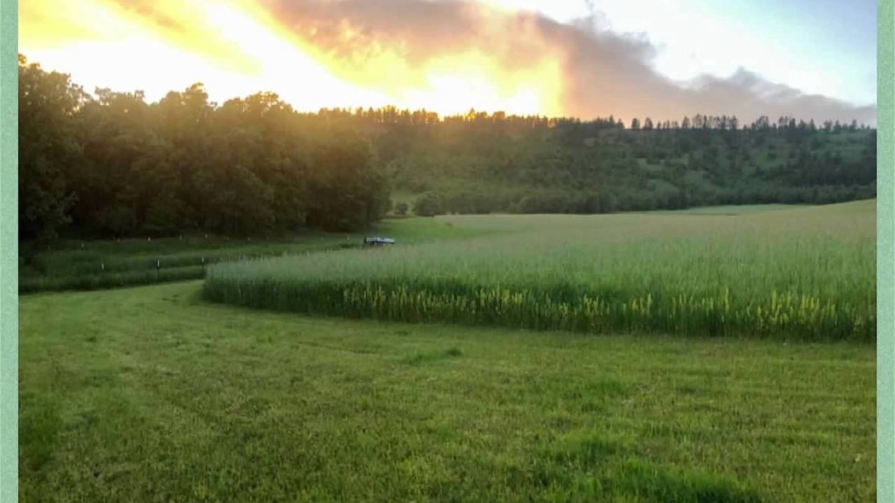 Photo of Others in Crook County