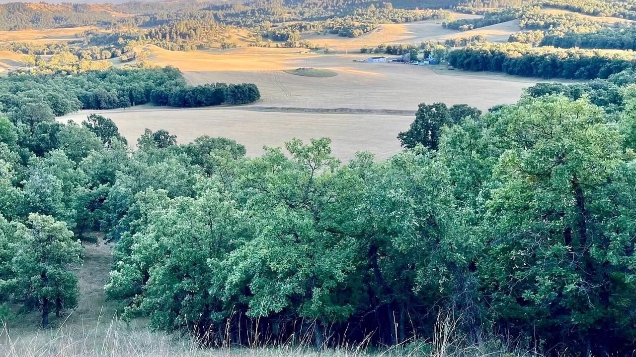 Photo of Others in Crook County