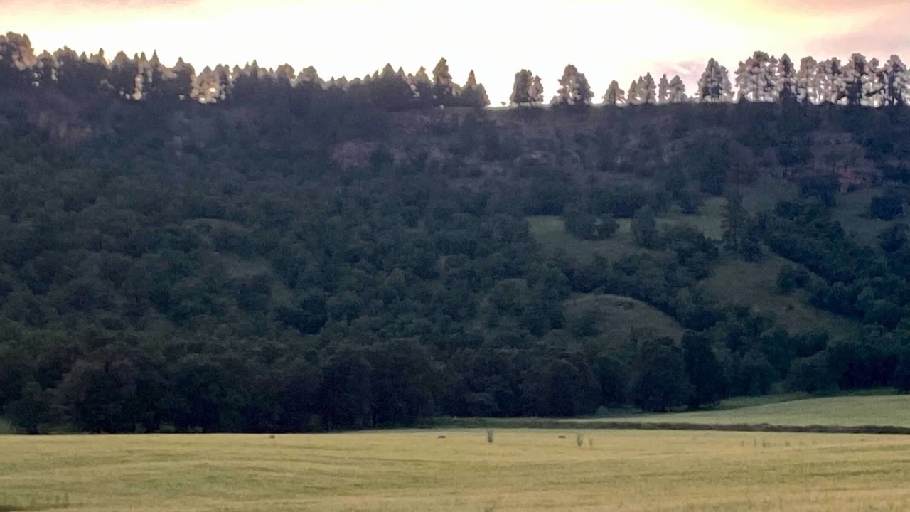 Photo of Others in Crook County