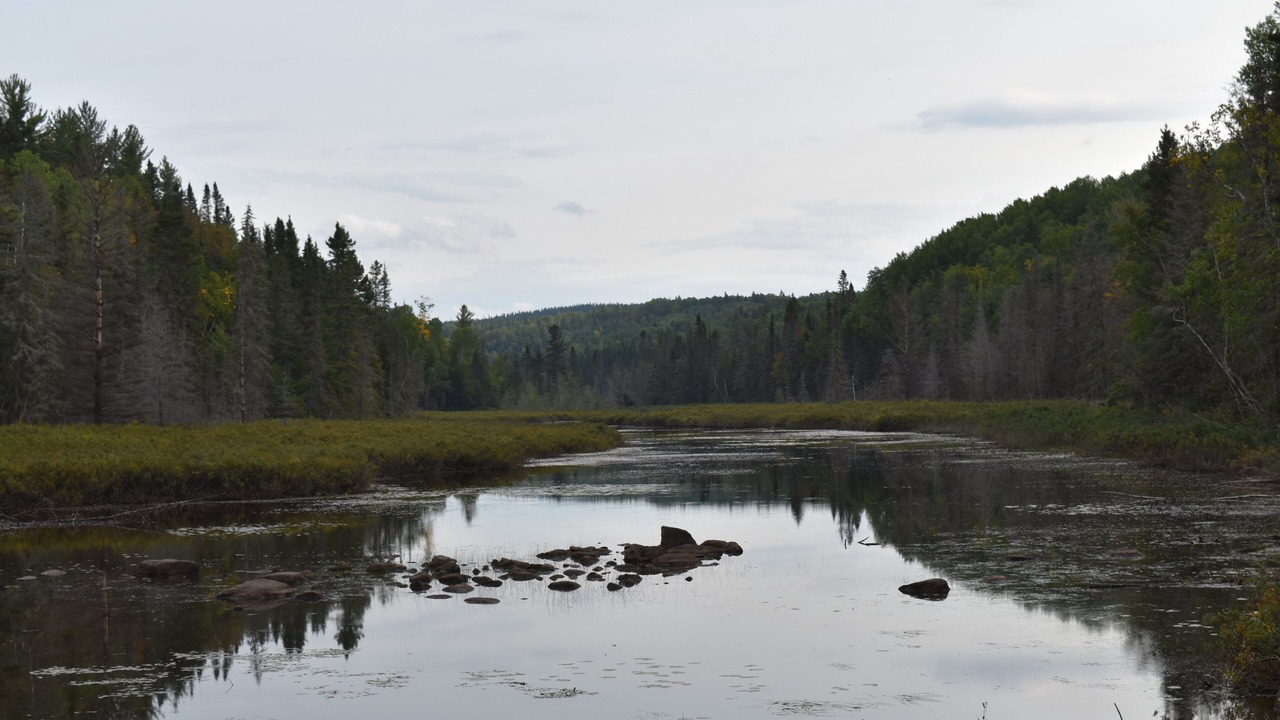 Photo of Others in La Baie