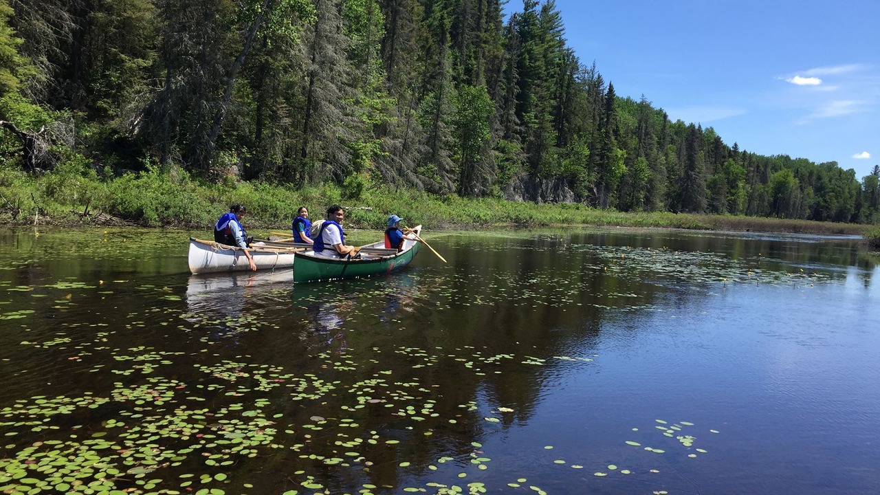 Photo of Others in La Baie