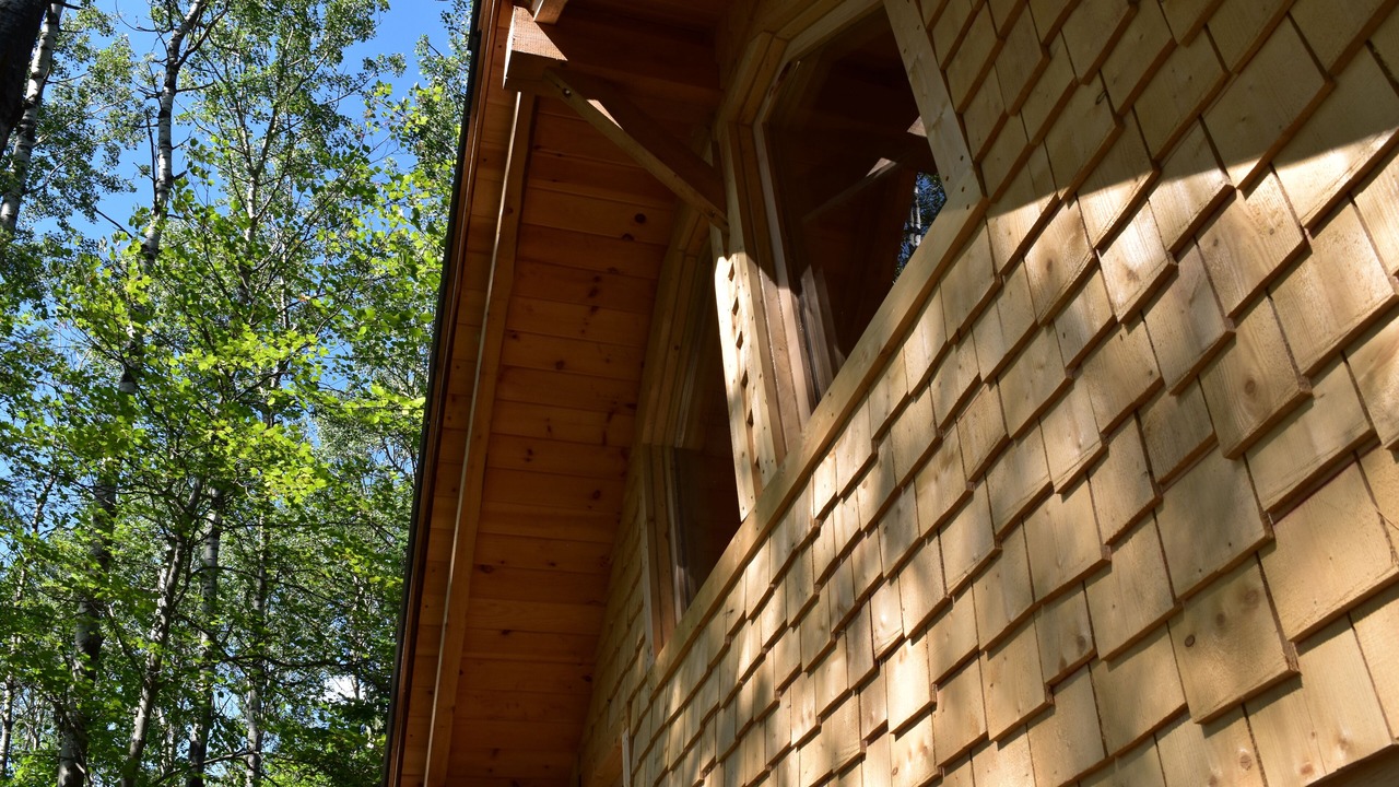 Photo of Outdoor in La Baie