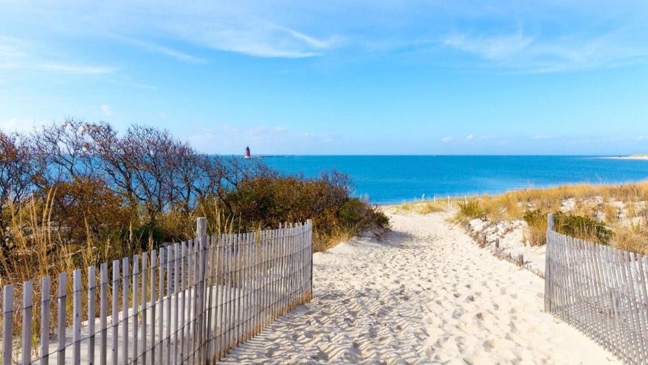 Photo of Others in Rehoboth Beach
