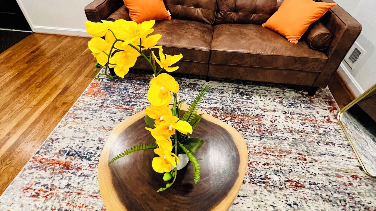 Photo of Livingroom in Seminary Hill