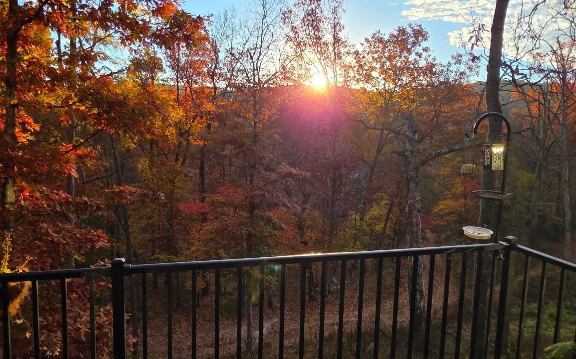 Photo of Outdoor in Sylvan Shores