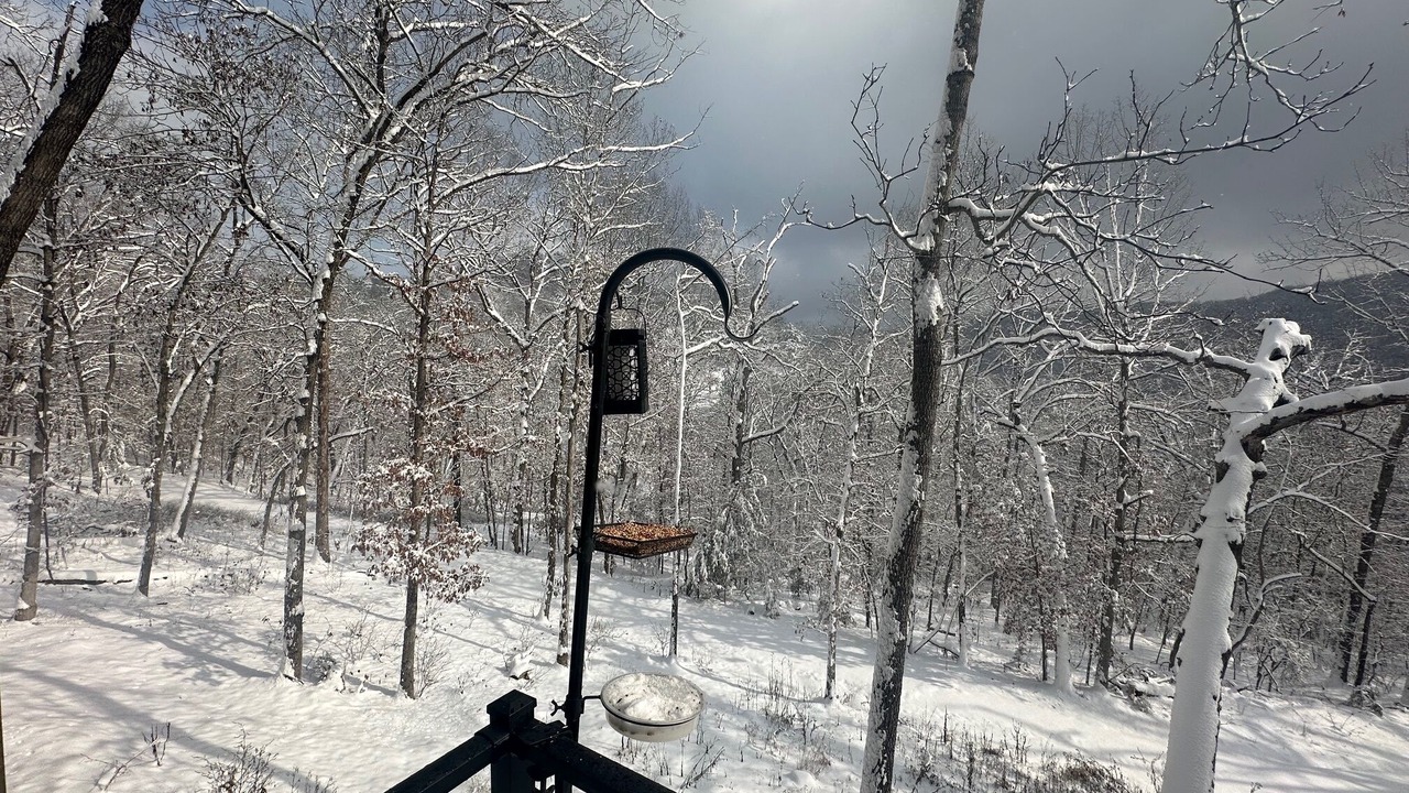 Photo of Outdoor in Sylvan Shores