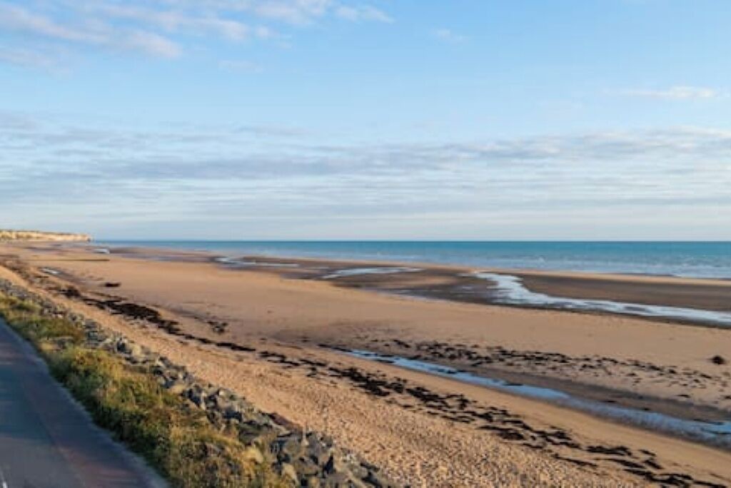 Photo of Others in Commes