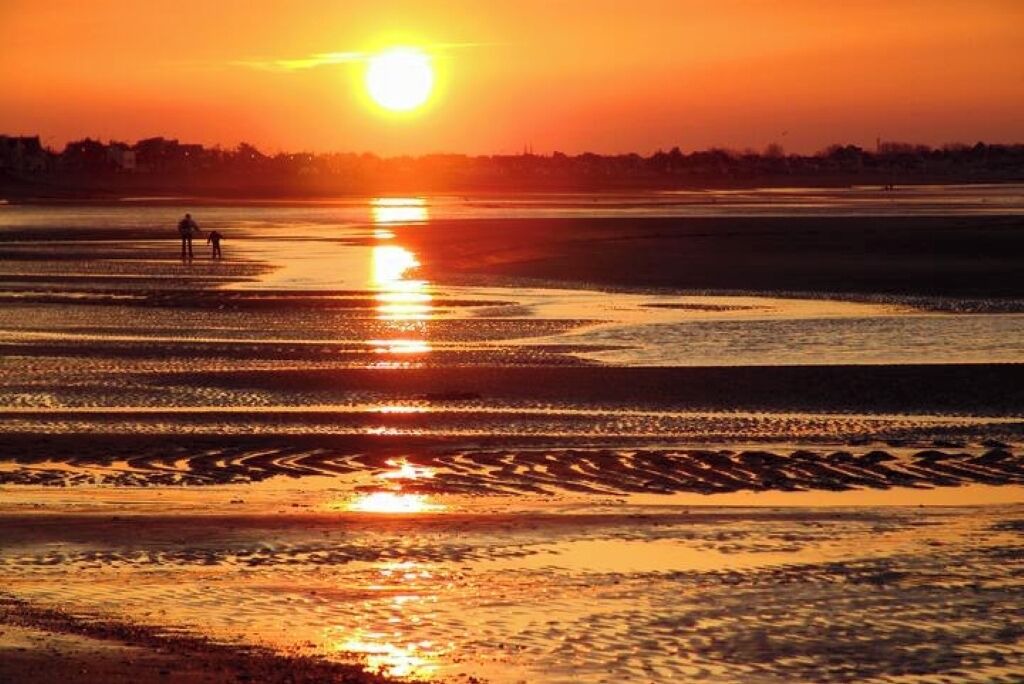 Photo of Others in Commes