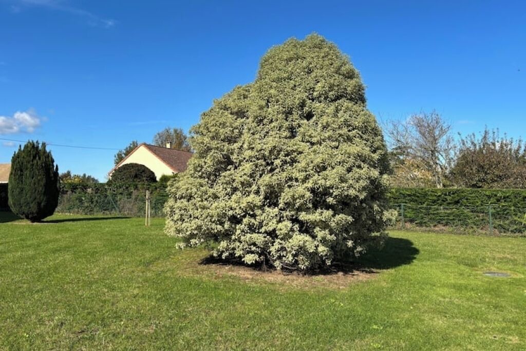 Photo of Outdoor in Tour-en-Bessin
