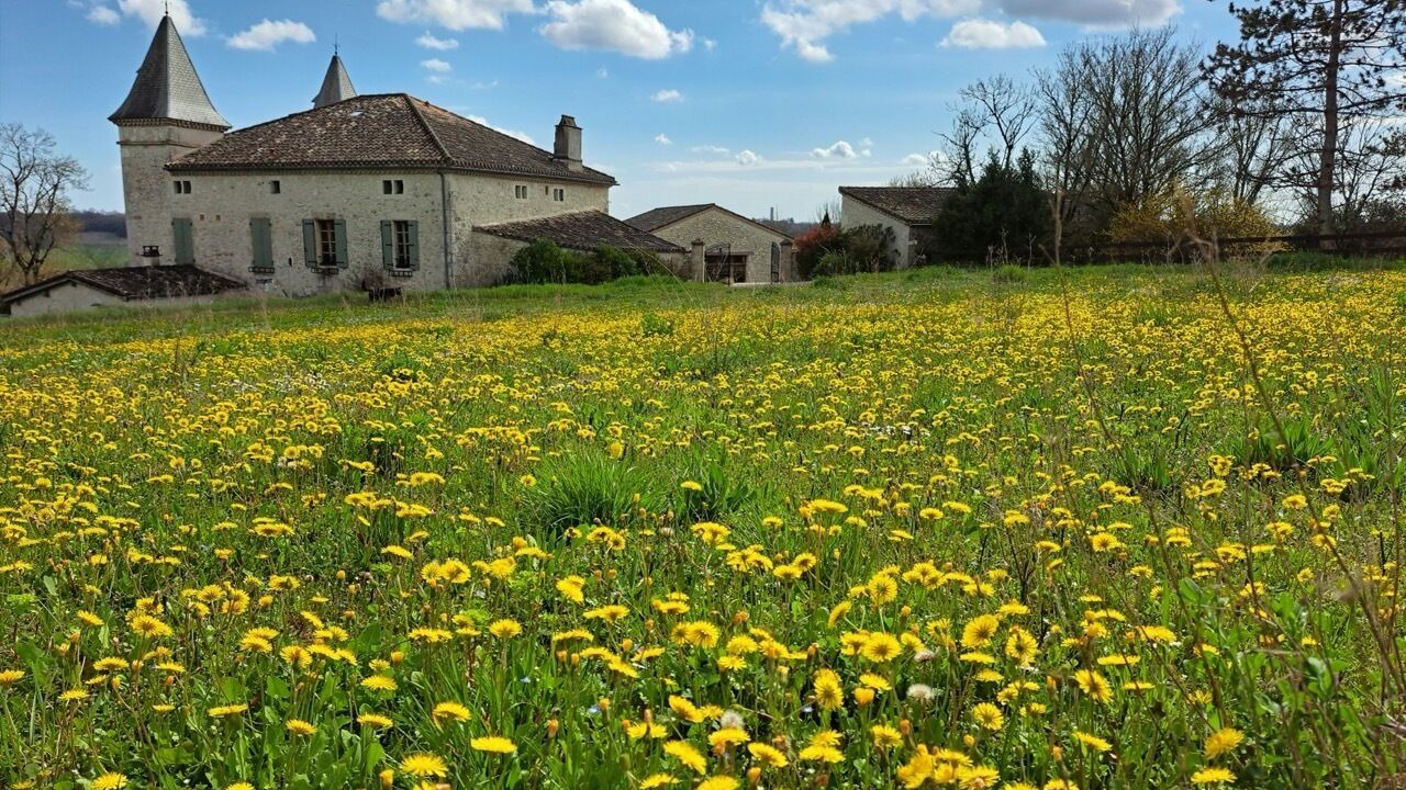 Photo of Others in Fauroux