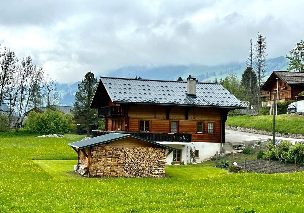 Photo of Others in Ormont-Dessus