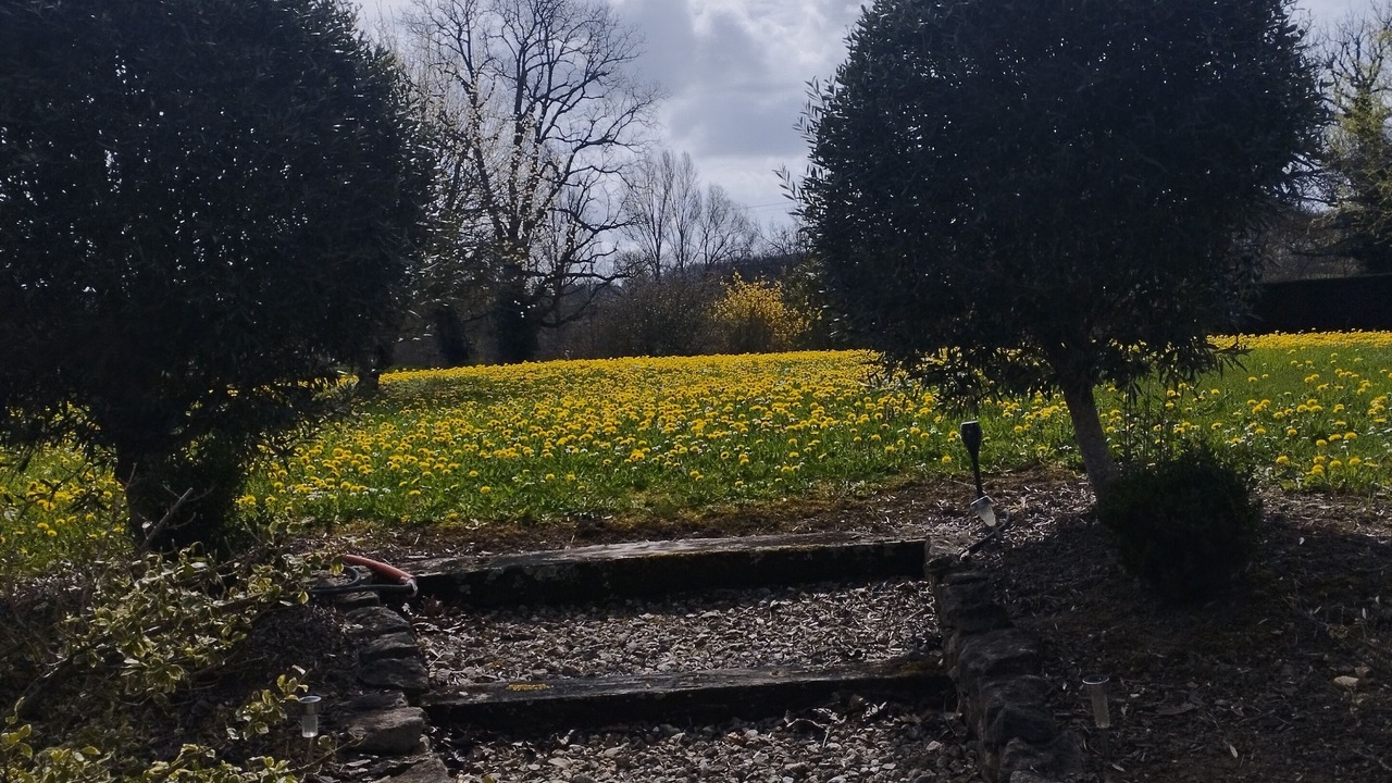 Photo of Outdoor in Bournel