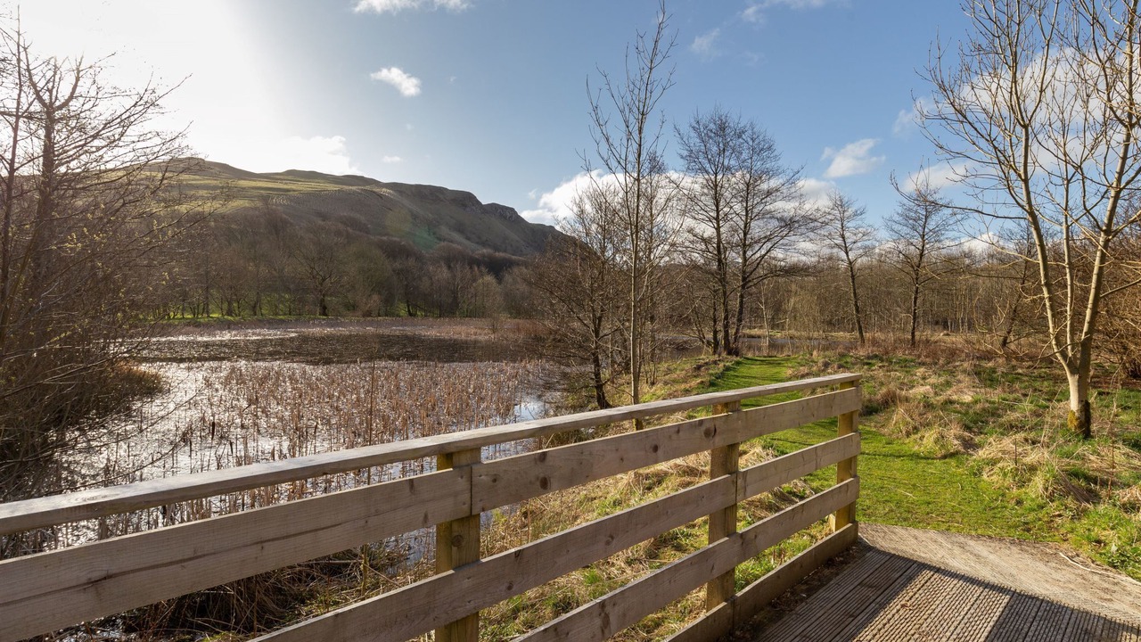 Photo of Others in Maybole