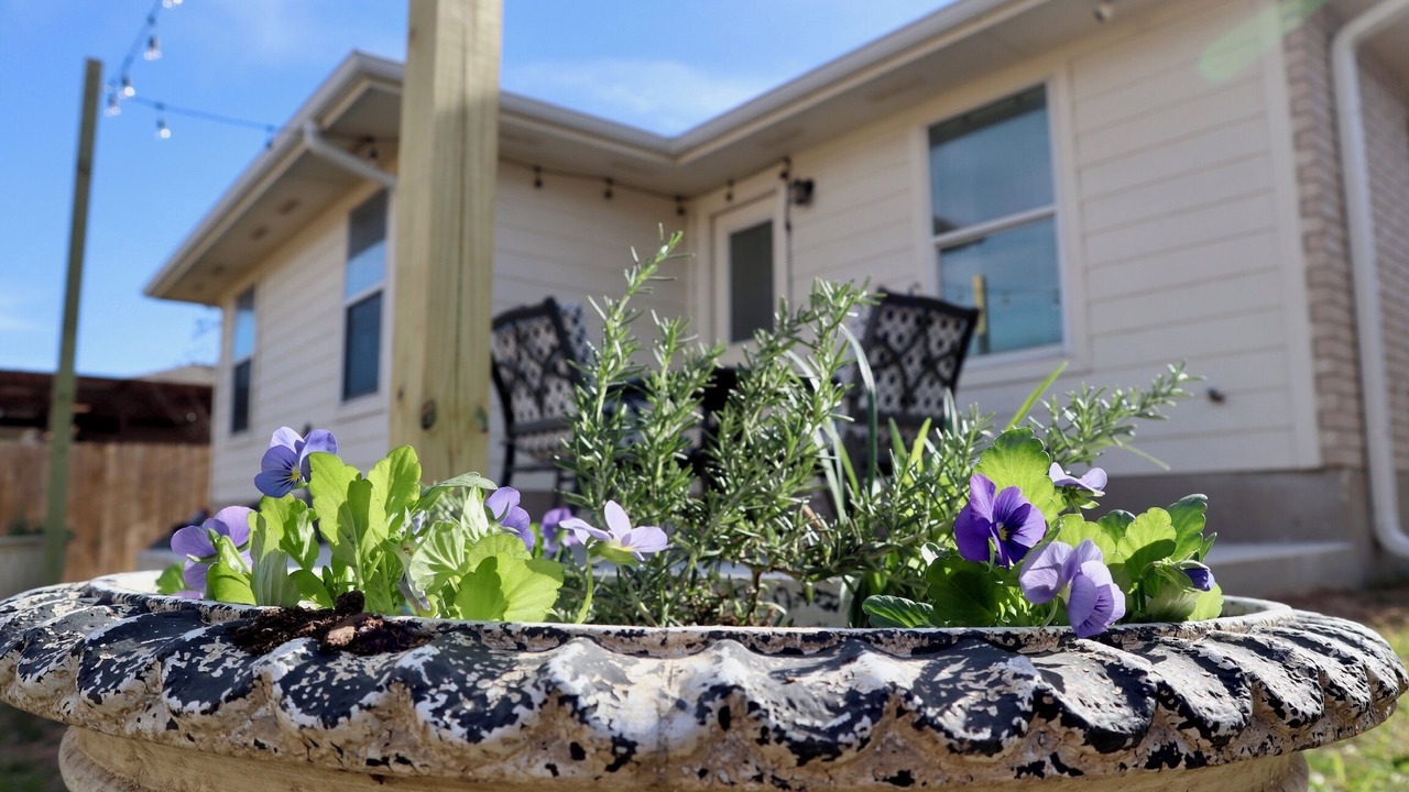 Photo of Outdoor in Manor