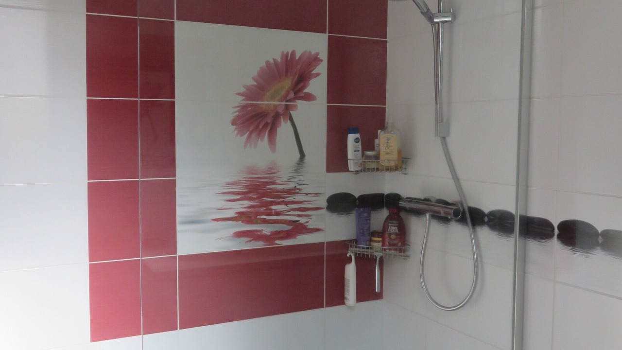Photo of Bathroom in Issoire
