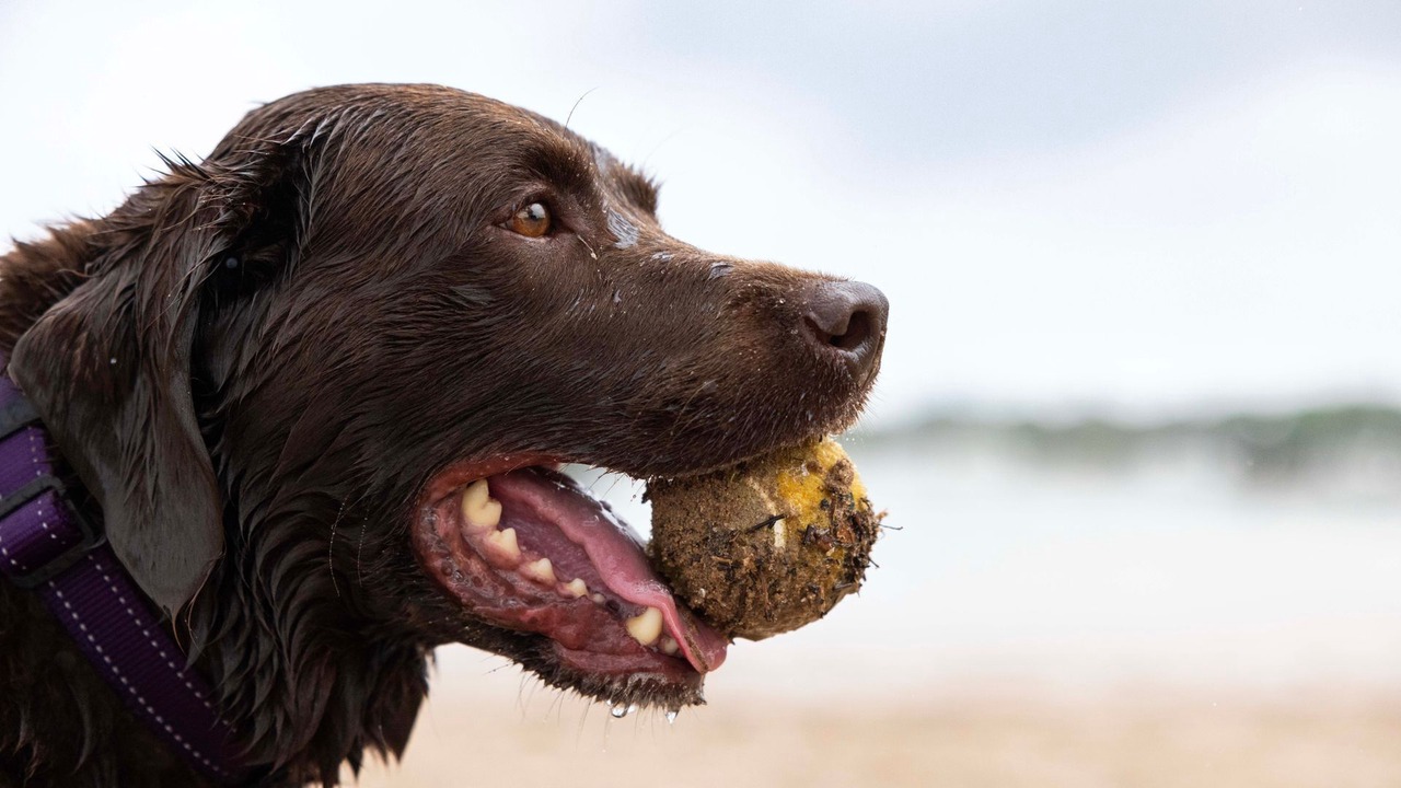 Photo of Others in Caves Beach