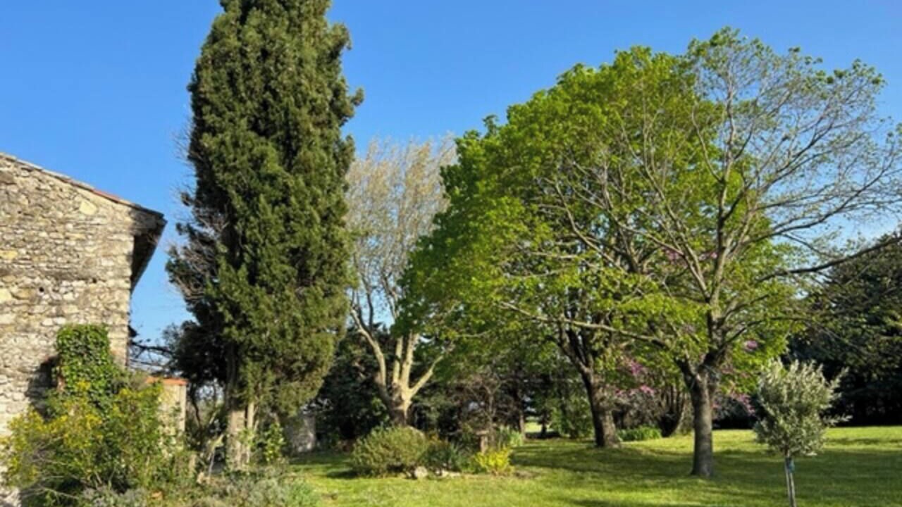 Photo of Others in Marsanne