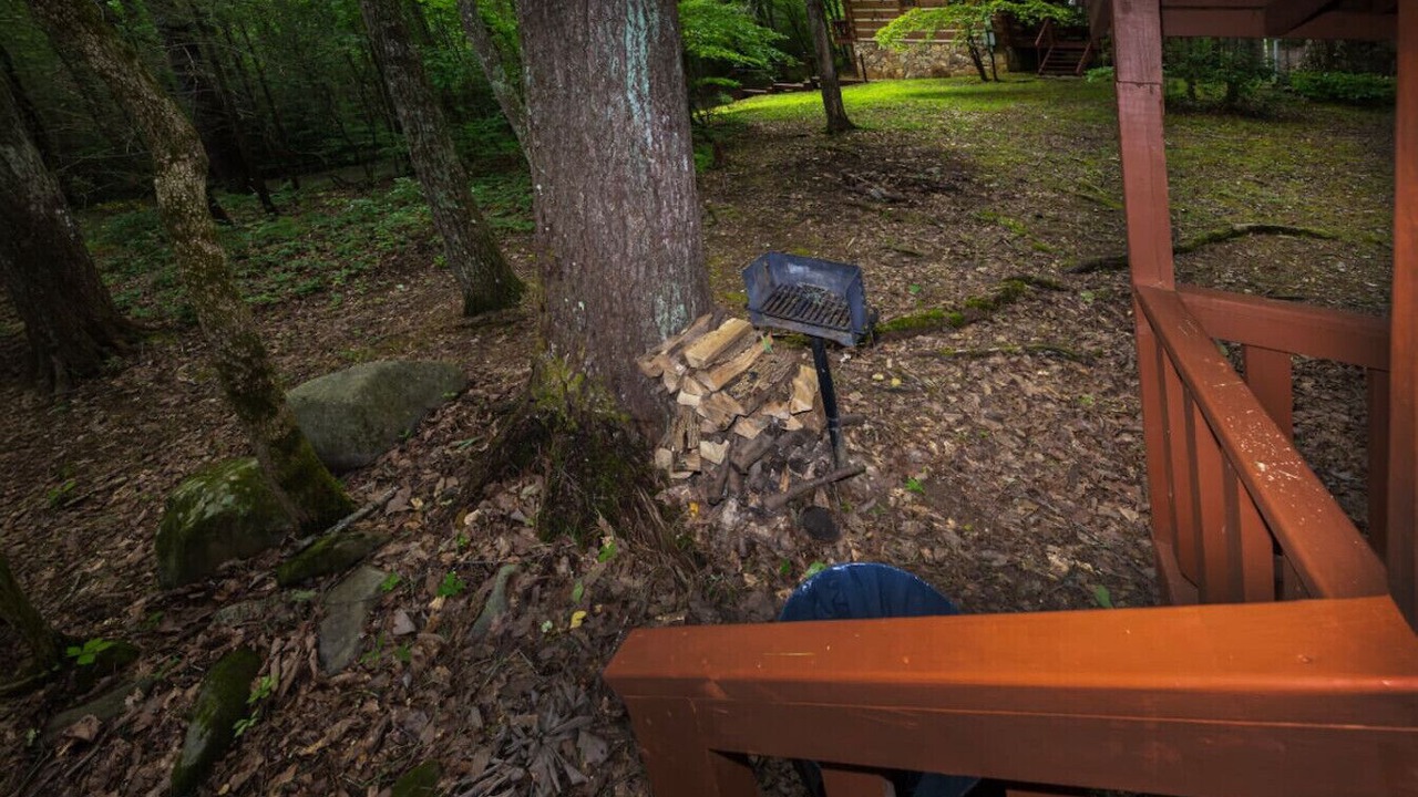 Photo of Outdoor in Cosby