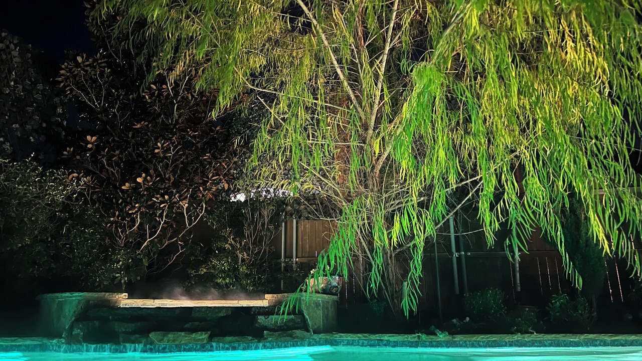 Photo of Outdoor in Little Elm