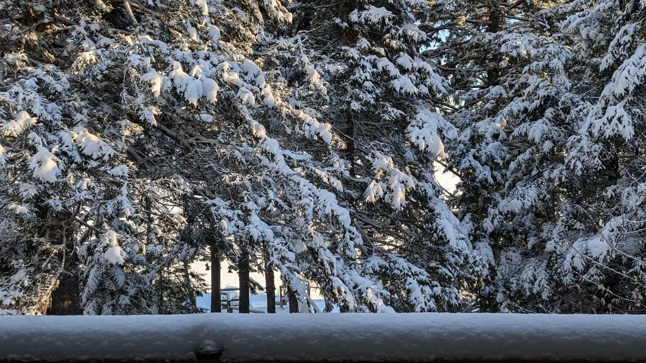 Photo of Outdoor in Newport Landing