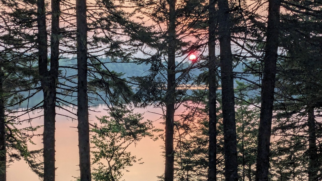 Photo of Others in Newport Landing